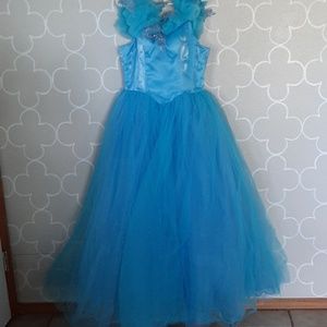 Live action Cinderella dress